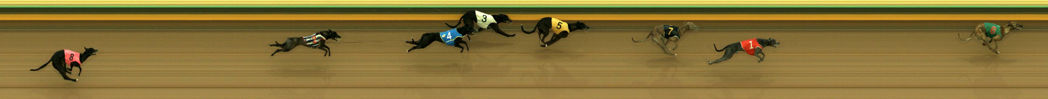 Race result finish photo